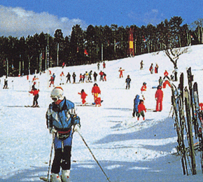女鹿平スキー場